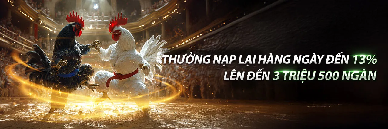 Đá gà trực tiếp tại vntop88 link vào