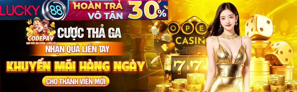 Chương trình VIP VN TOP88